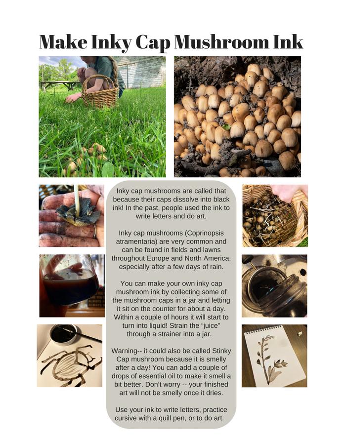 [Thumbnail for mushroom-ink(1).jpg]