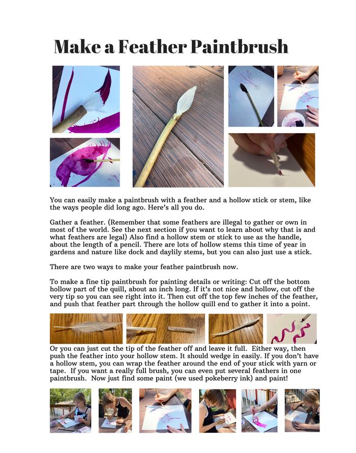 [Thumbnail for feather-paintbrush(1).jpg]