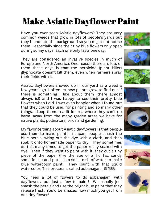 [Thumbnail for dayflower-paint.jpg]