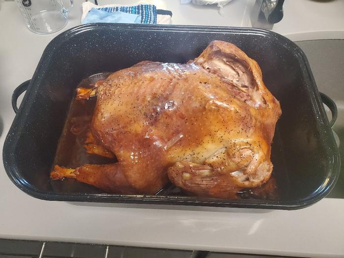 The turkey