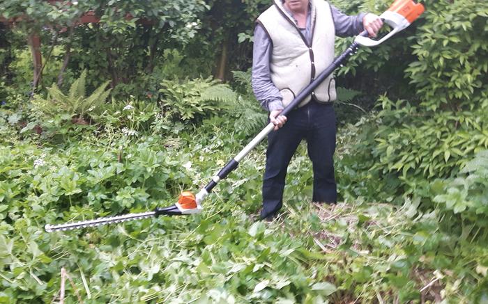 long-reach hedge trimmer