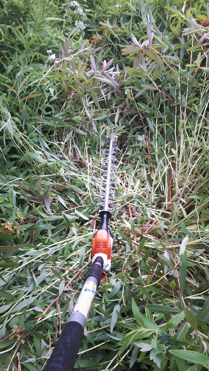 long-reach hedge trimmer in action