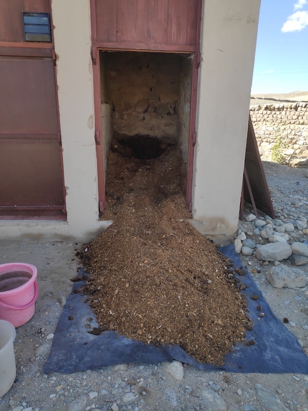 Emptied first chamber of double-chamber toilet. Too much intact wood shavings.