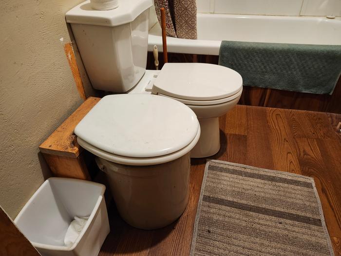 Old Crock toilet