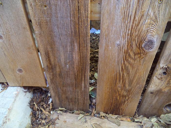 spaces in the slats in the collection chamber to allow flies access