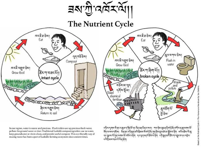 [Thumbnail for Nutrient-cycle-bilingual-ladakhi.jpg]