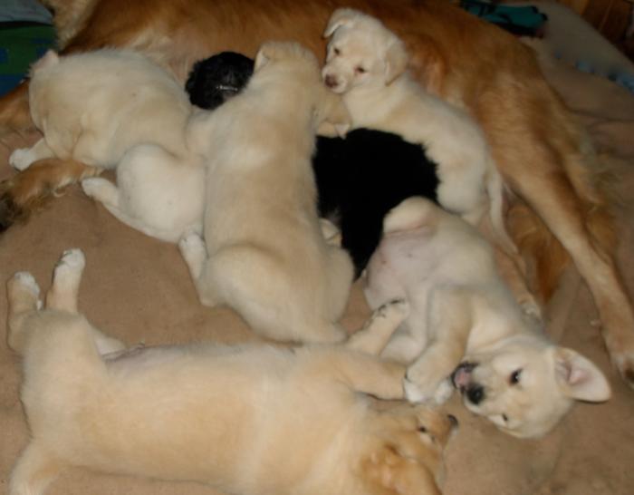 [Thumbnail for withmom11.JPG]