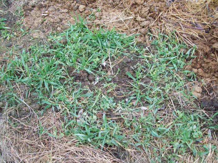 [Thumbnail for 000_0006.JPG]