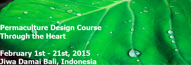 [Thumbnail for PermacultureDesignCourseThroughTheHeart.20150201.stretched-2.jpg]