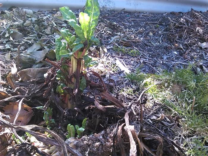 [Thumbnail for IMG_20150127_103829.jpg]