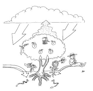 [Thumbnail for Fig-1.4-page-17.JPG]