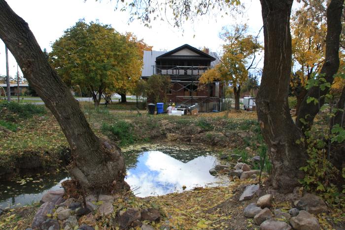 Pond fed by roof