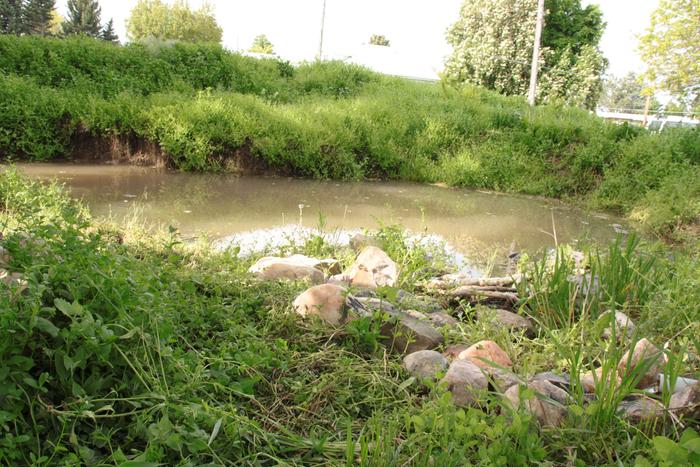 Lots of rain has filled the pond nicely