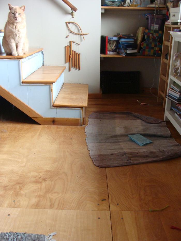 painting/sealing indoor plywood floor (finishes forum at 