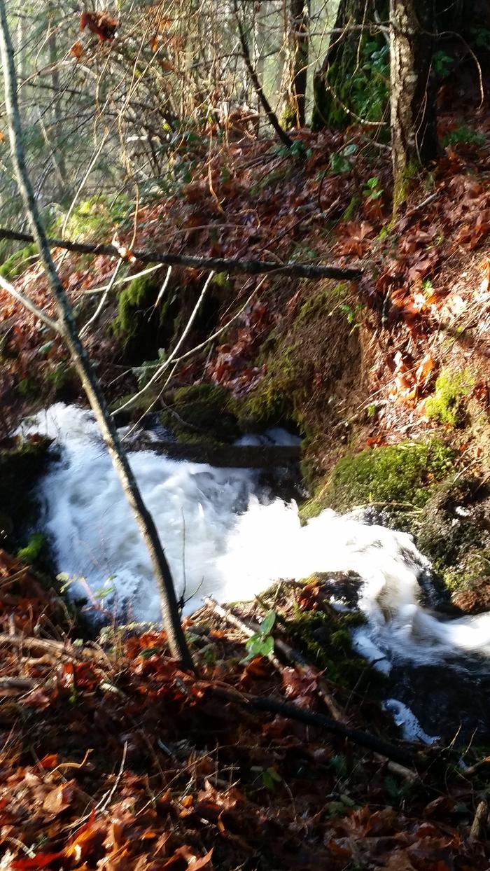 seasonal stream culvert