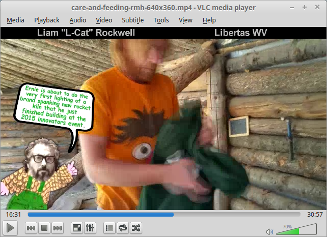 [Thumbnail for wood-heat-feeding.png]