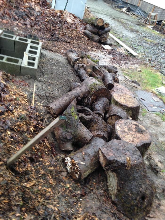 [Thumbnail for 2015-02-03-11.59.44.jpg]