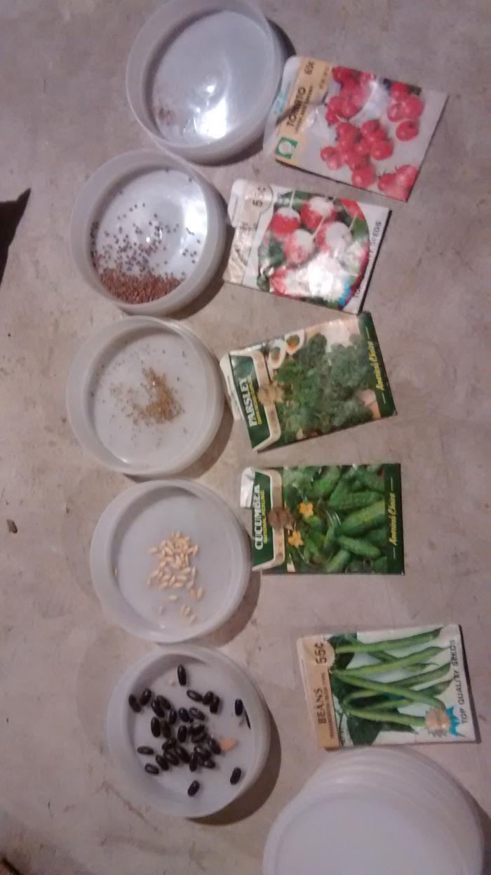 [Thumbnail for IMG_20150228_182356348.jpg]