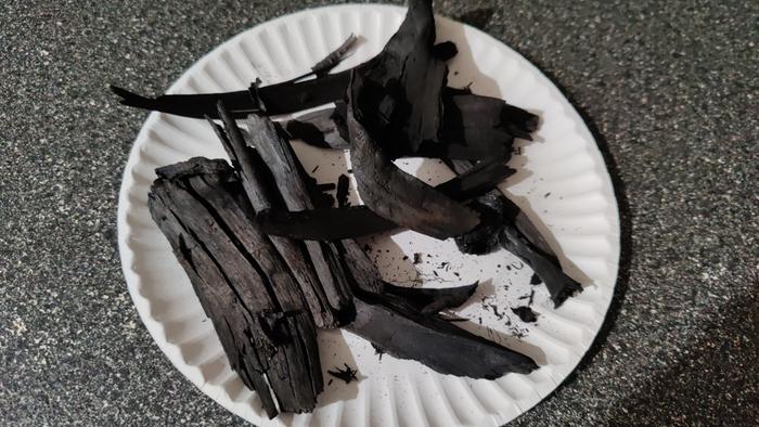 Half of my tin can retort output - mostly wood chips and twigs, with a banana peel in the middle