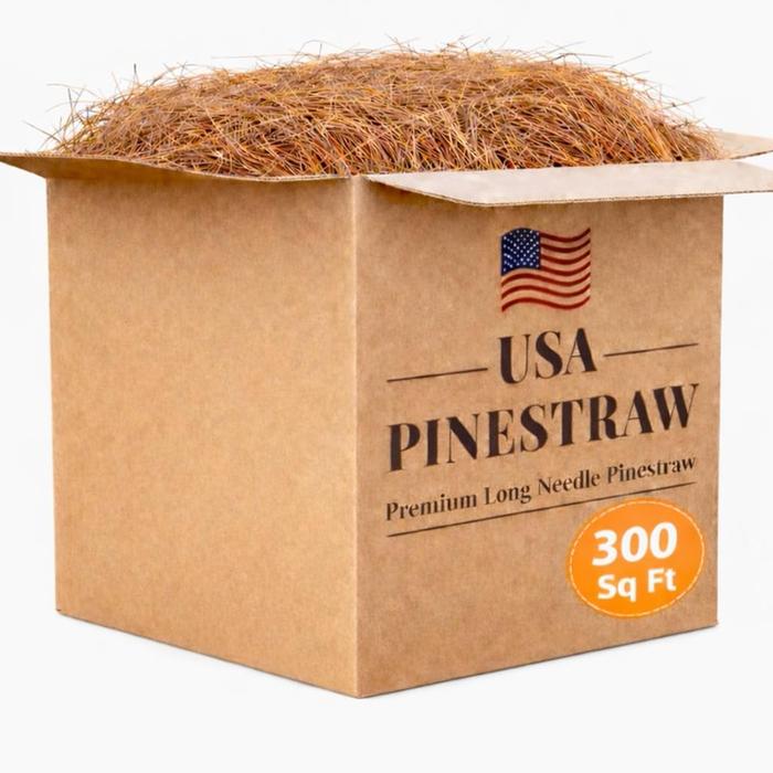 [Thumbnail for pine-straw-box.jpg]