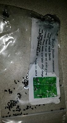 [Thumbnail for Lemonbalm-seeds.jpg]