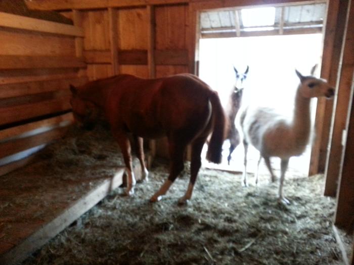 [Thumbnail for 20141115_160021.jpg]