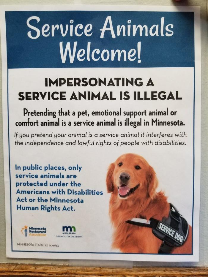 service dog