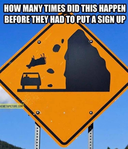 [Thumbnail for watch-for-falling-cows.jpg]