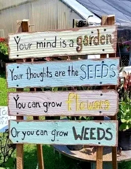 [Thumbnail for mindgarden.jpg]