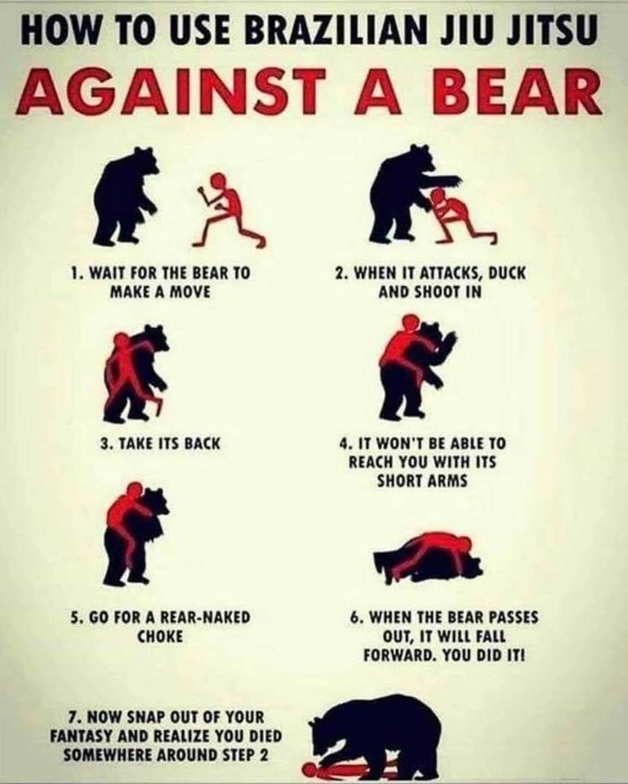 [Thumbnail for bear-attack.jpg]