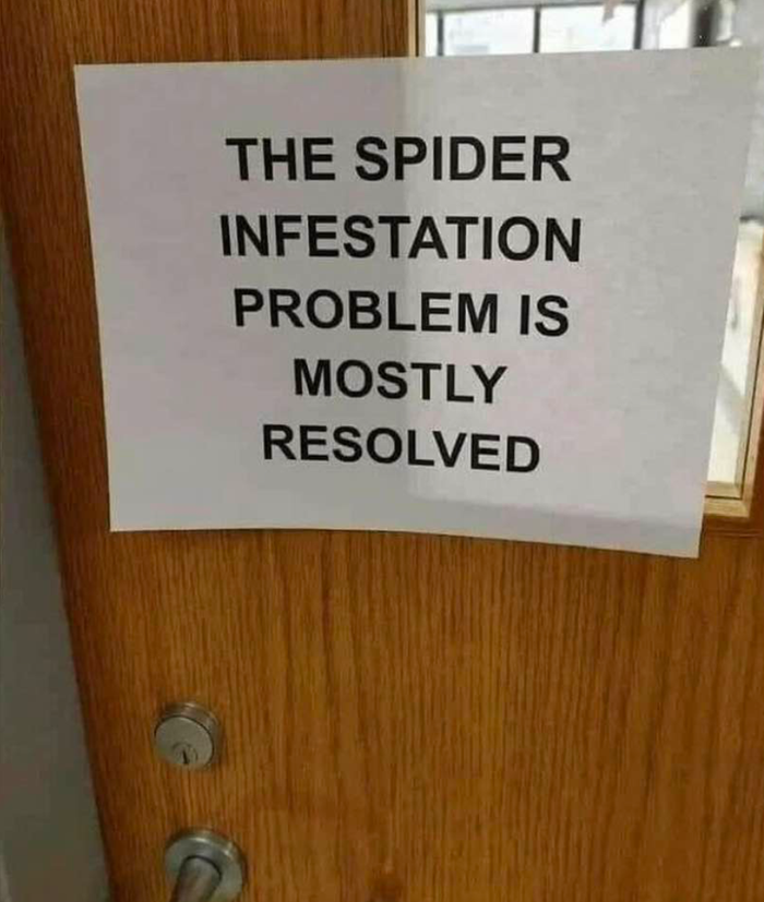 spiders??