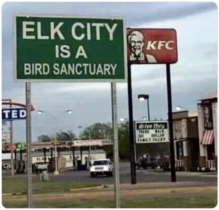 &amp;#91;birdsanctuaryright.jpg&amp;#93;