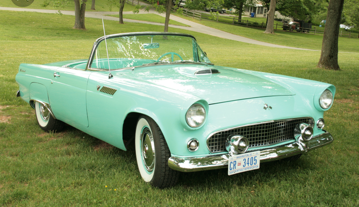 The Thunderbird