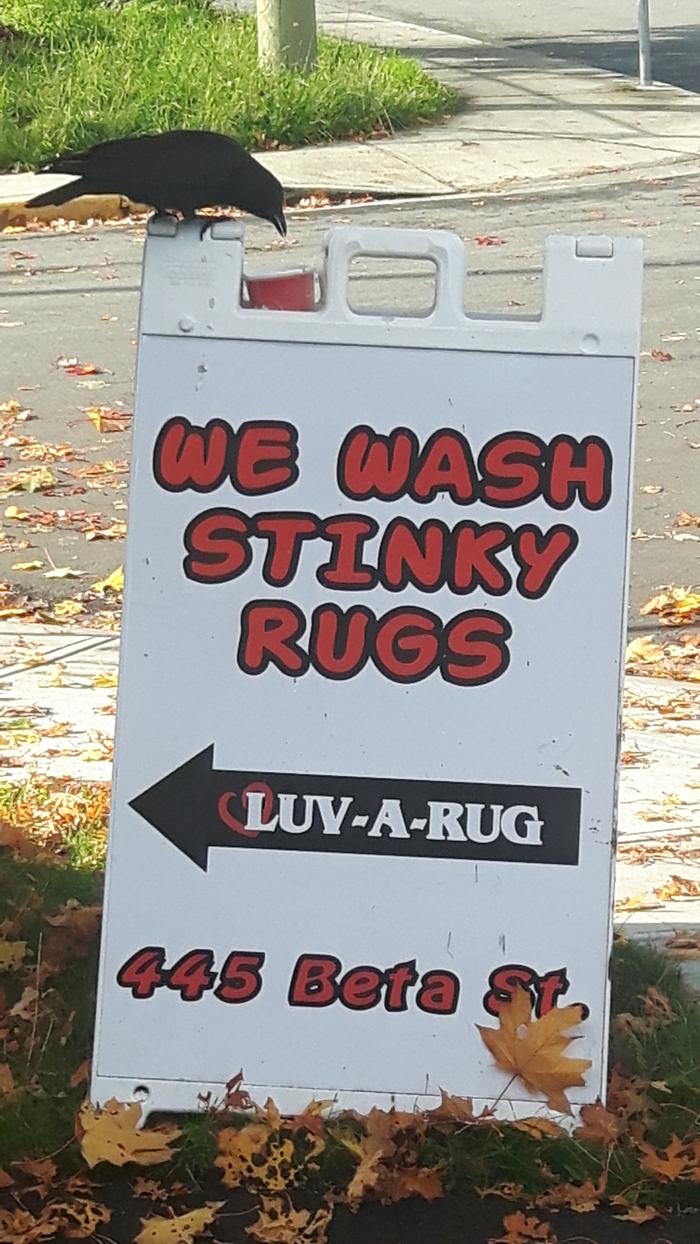 stinky rug