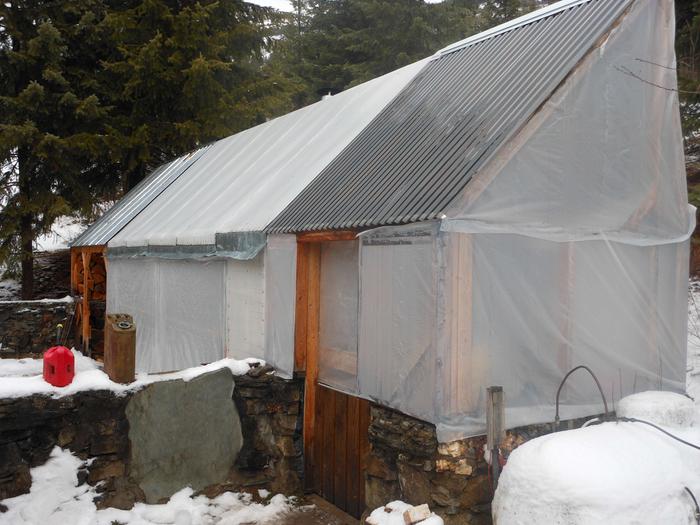 [Thumbnail for greenhouse-16.JPG]