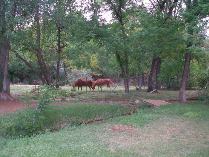 [Thumbnail for P5250098.JPG]