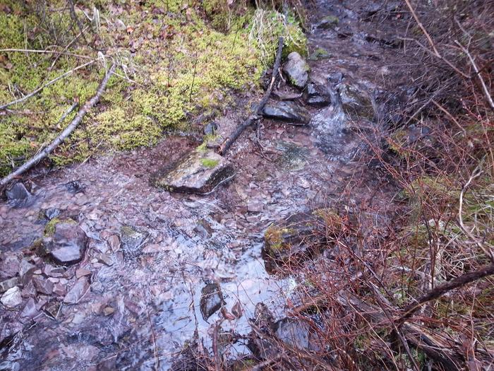 running water in the creek