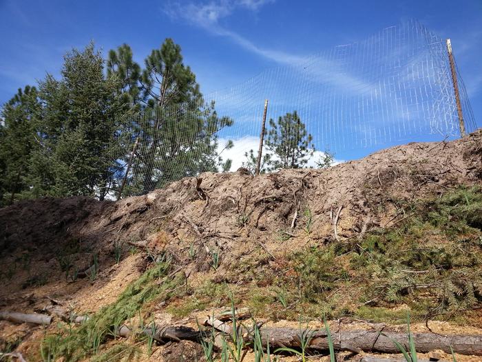 fence atop the huge hugel