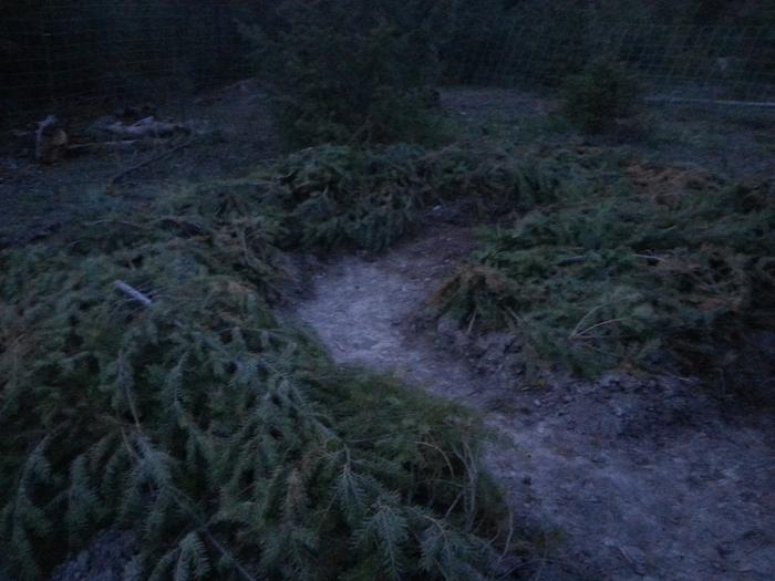 beds tucked in at dusk