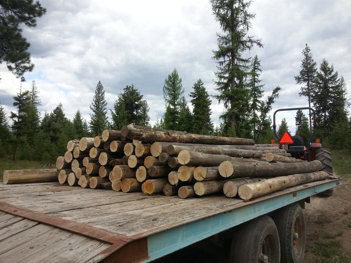 stacking those logs