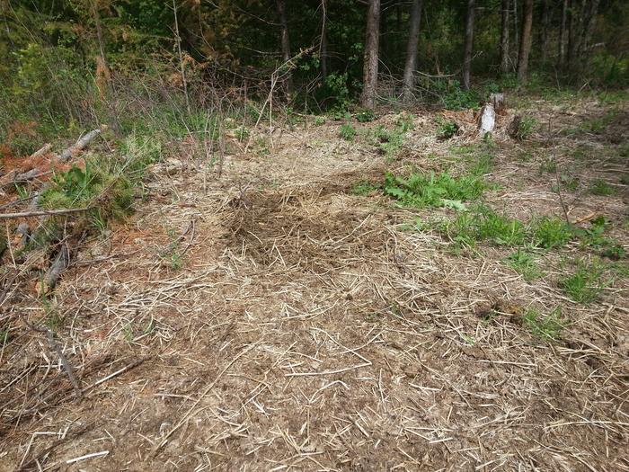 cow patty mulch pile
