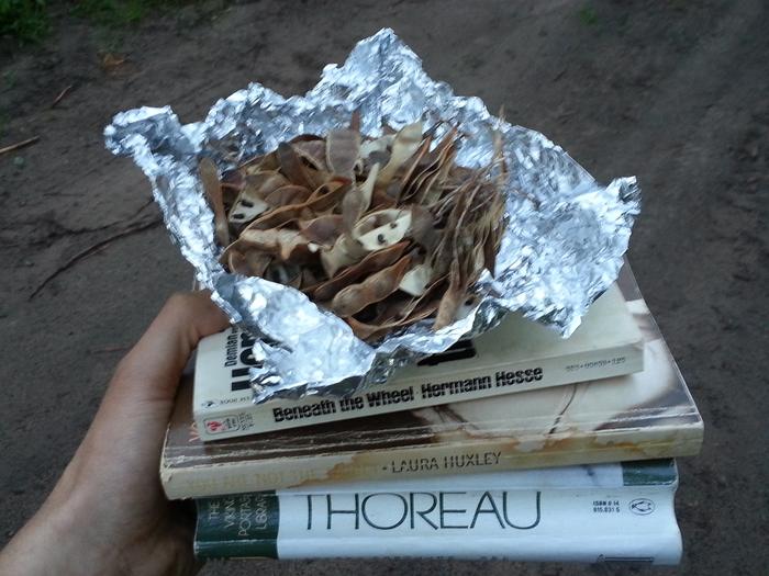 free books and black locust seeds