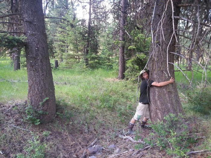 dirty tree-hugging rock-picker