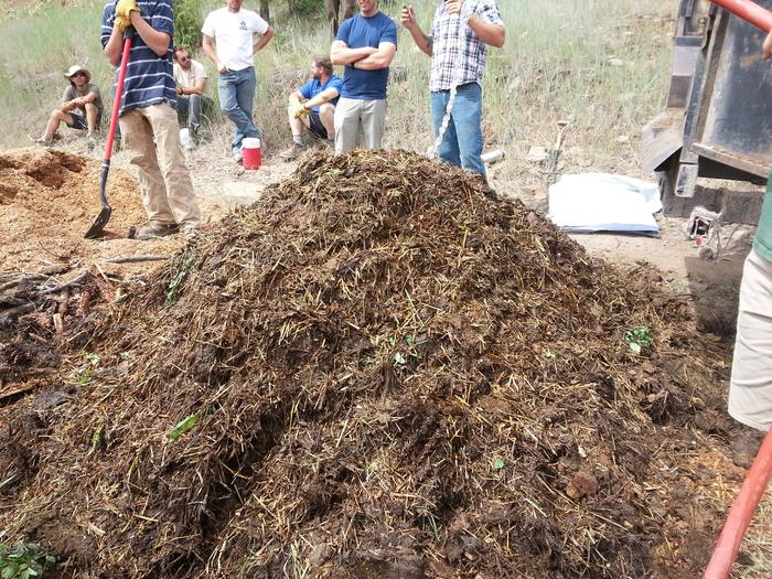 watering the compost