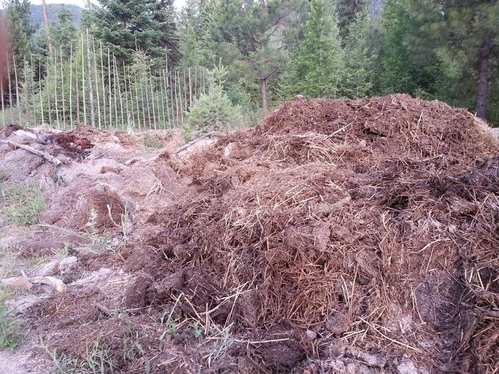 mulch for T&eacute;jas