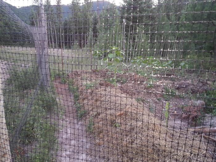 fence around T&eacute;jas