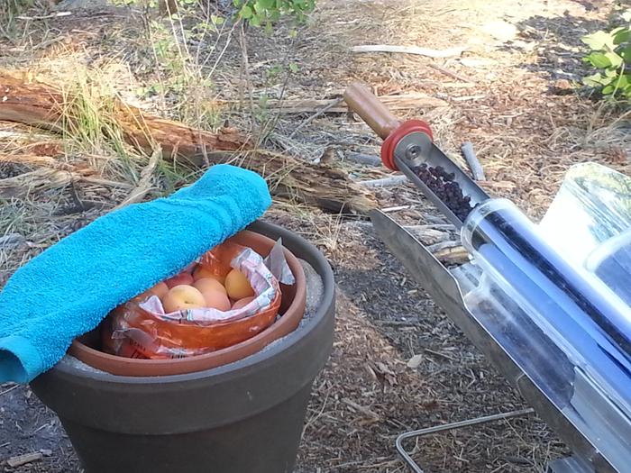 passively cooling apricots and passively heating huckleberries