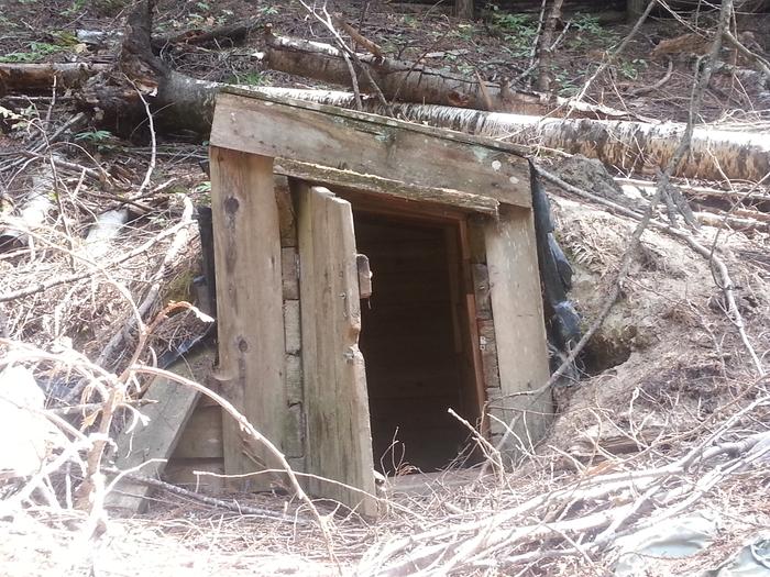 tiny root cellar