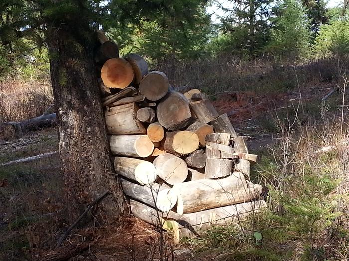 lil woodstack