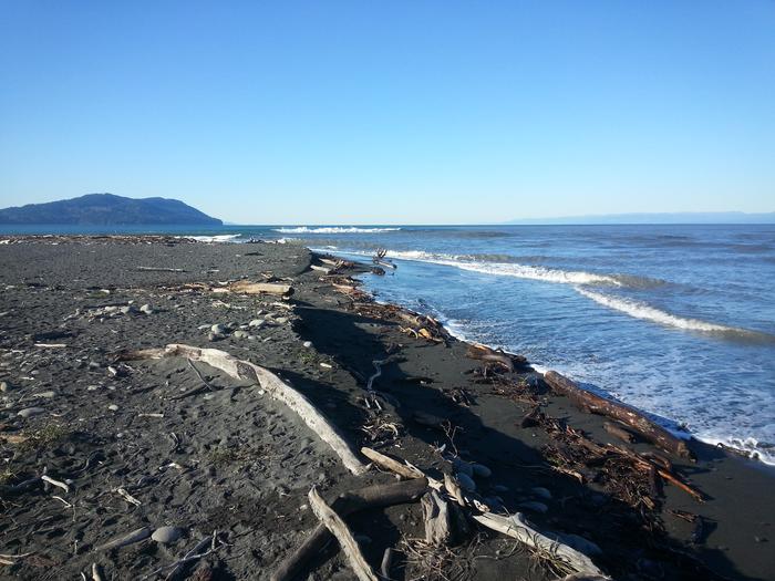 waves, driftwood, and dark sand at the beach